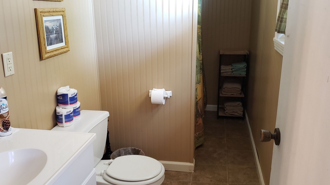 Photo of Bathroom in Hornbeak