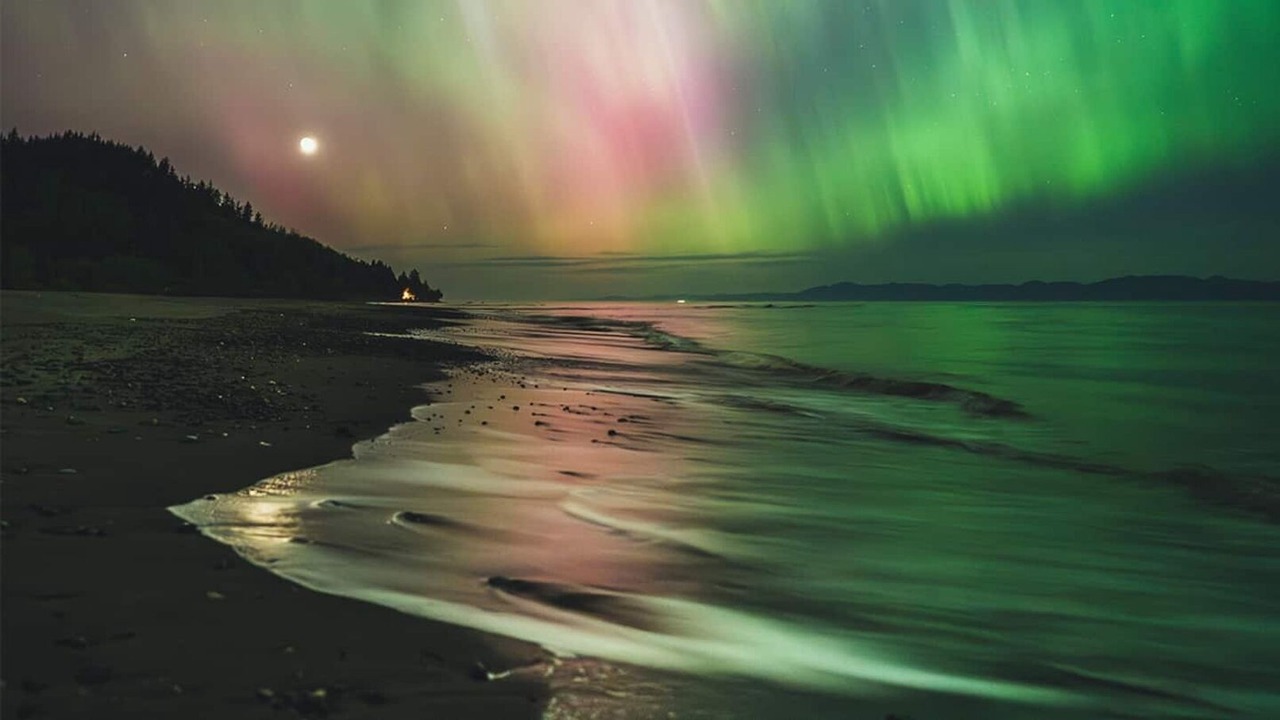 Photo of Others in Sekiu