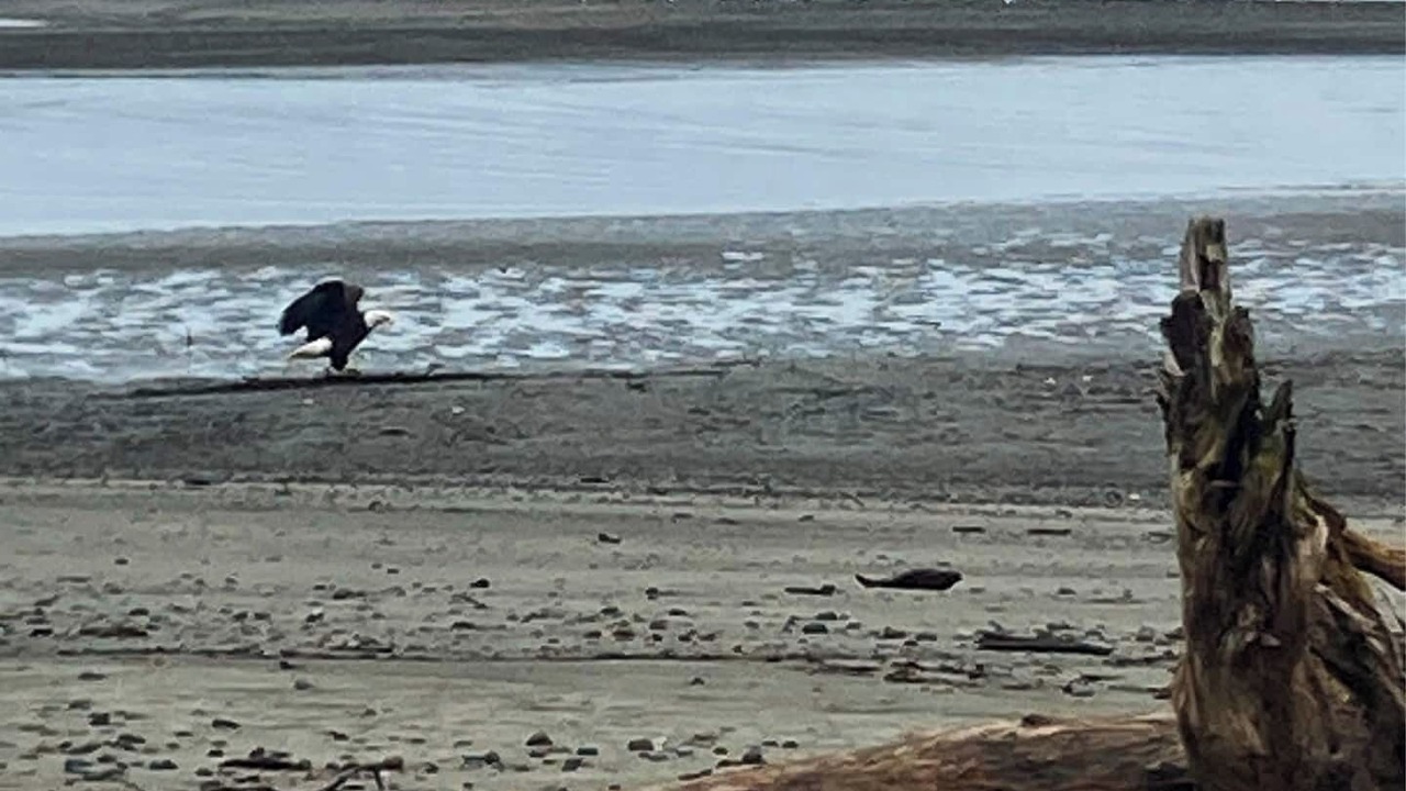 Photo of Others in Sekiu