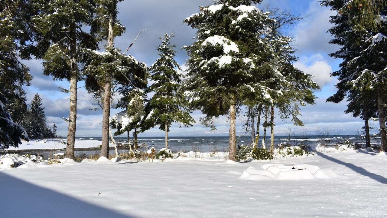 Photo of Others in Sekiu