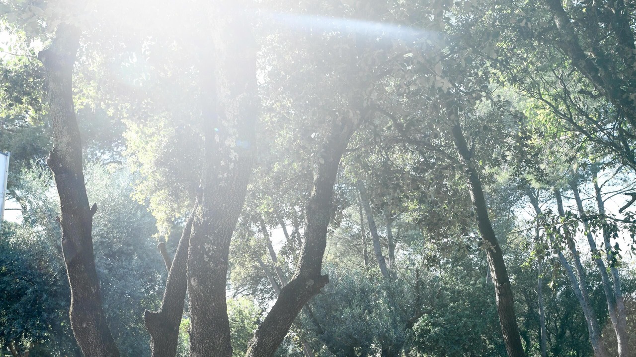 Photo of Outdoor in Aubais