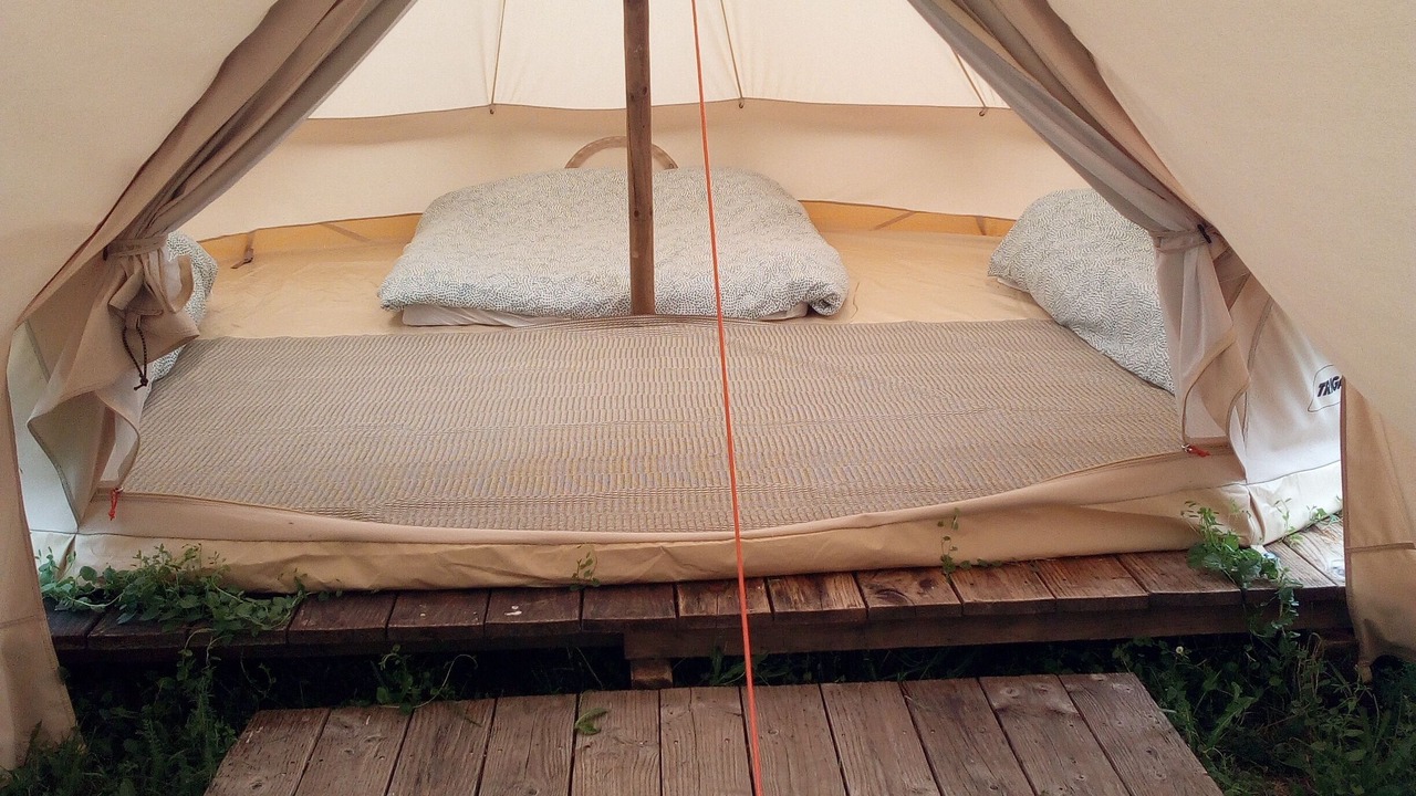 Photo of Outdoor in Candes-Saint-Martin