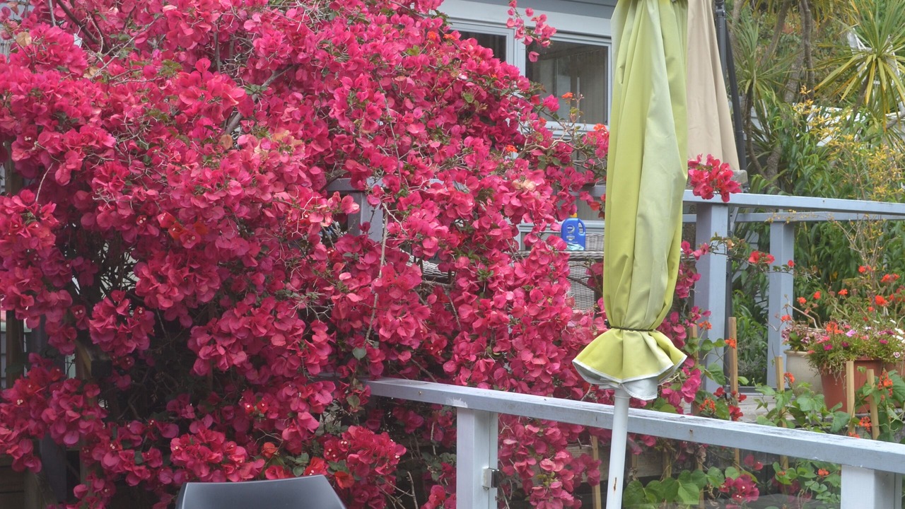 Photo of Patio Balcony in Torbay