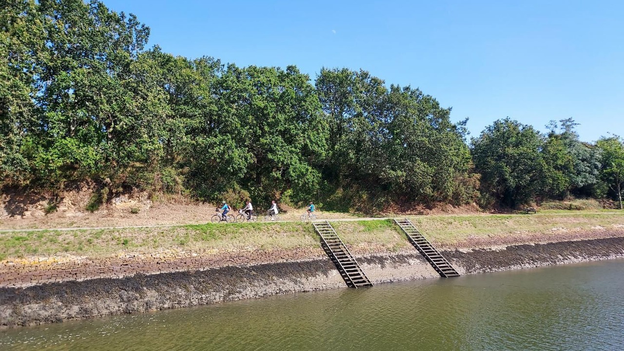 Photo of Others in Plescop