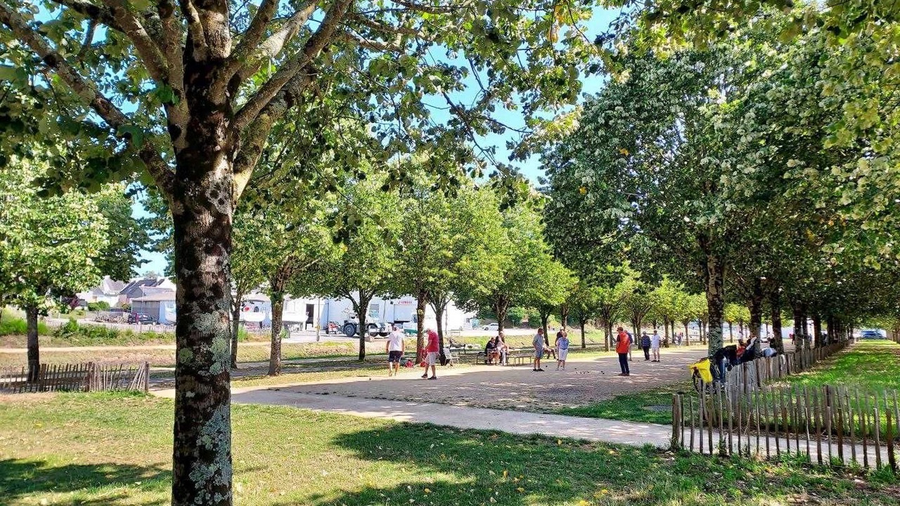 Photo of Others in Plescop