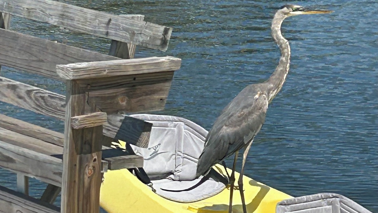 Photo of Others in Seaside Heights