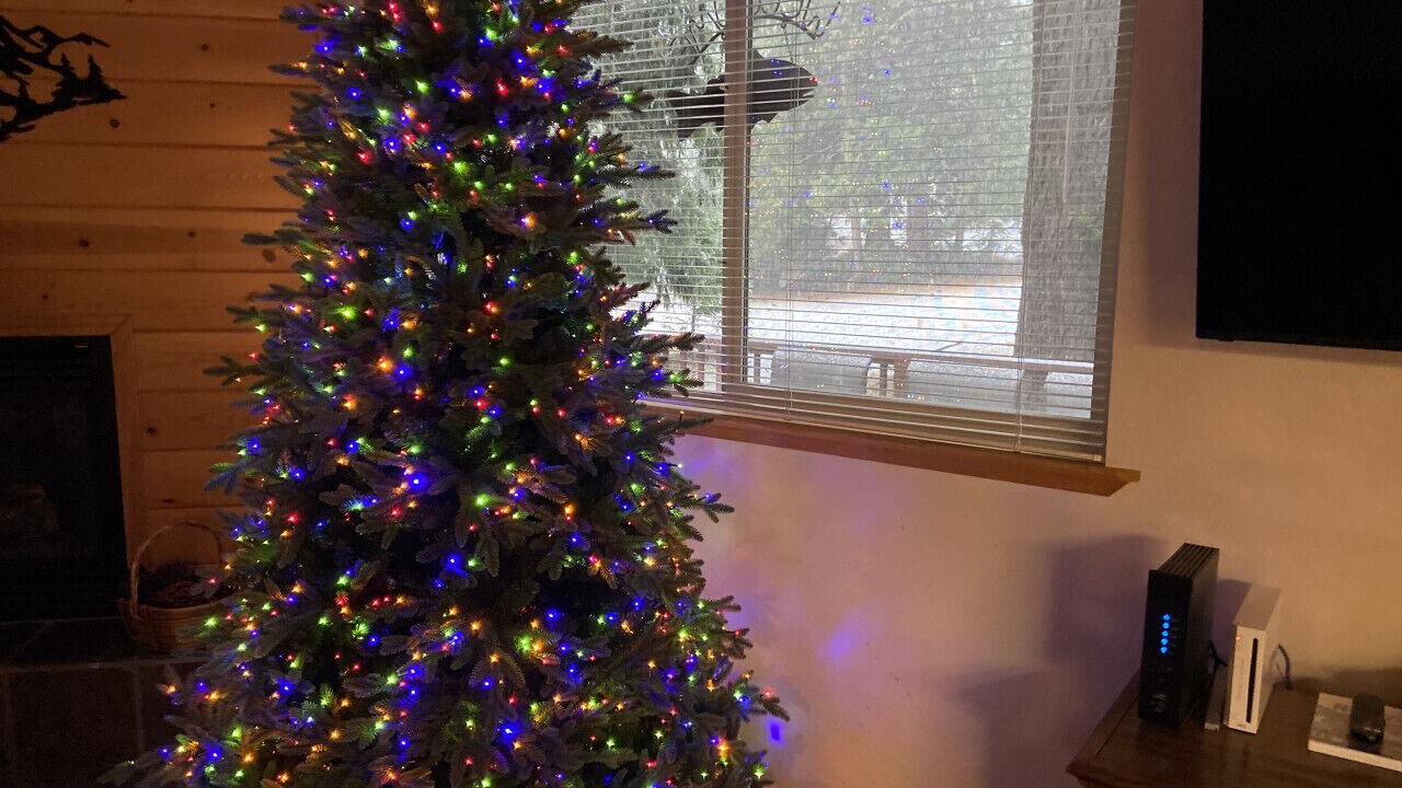 Photo of Others in Strawberry