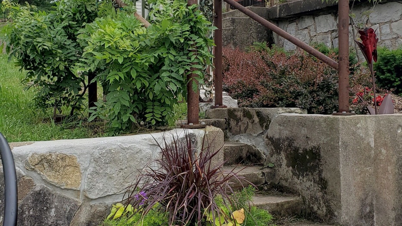 Photo of Outdoor in Grove