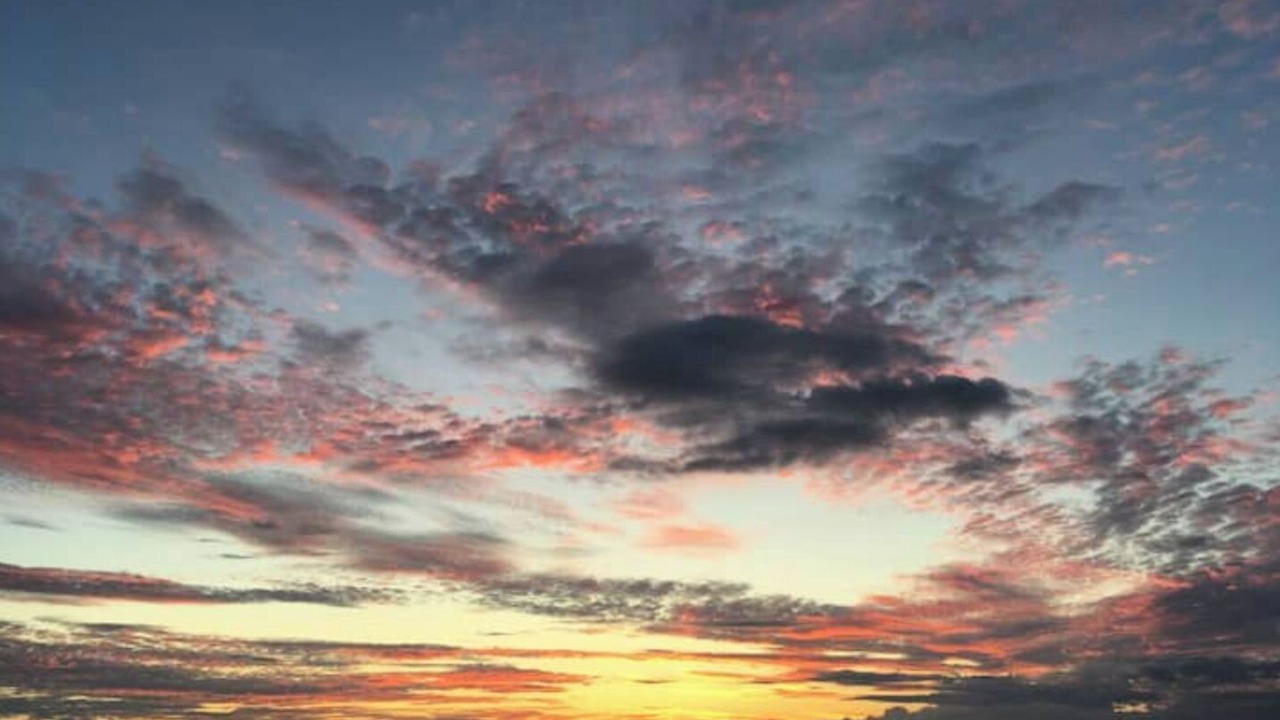 Photo of Others in Bourg-l'Eveque