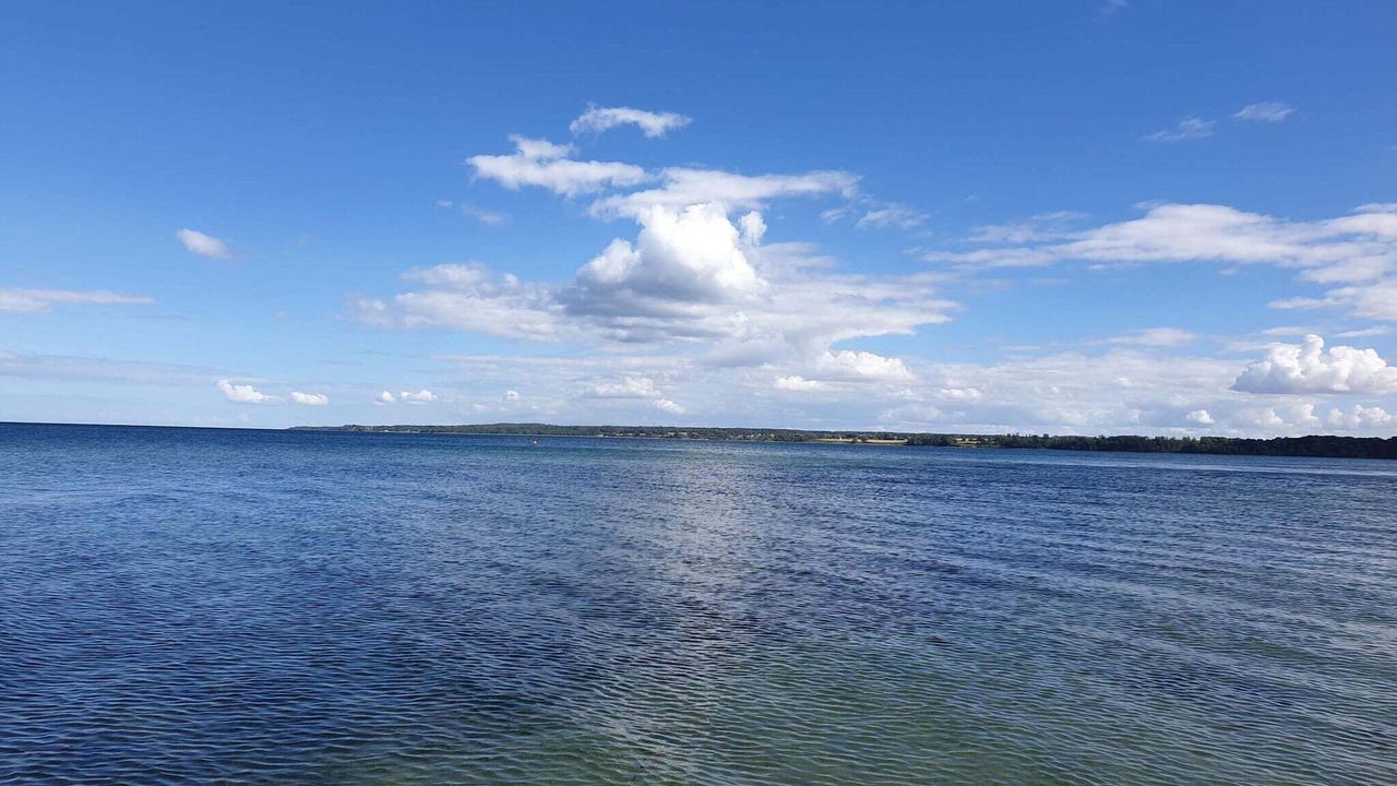 Photo of Others in Hvidbjerg Strand