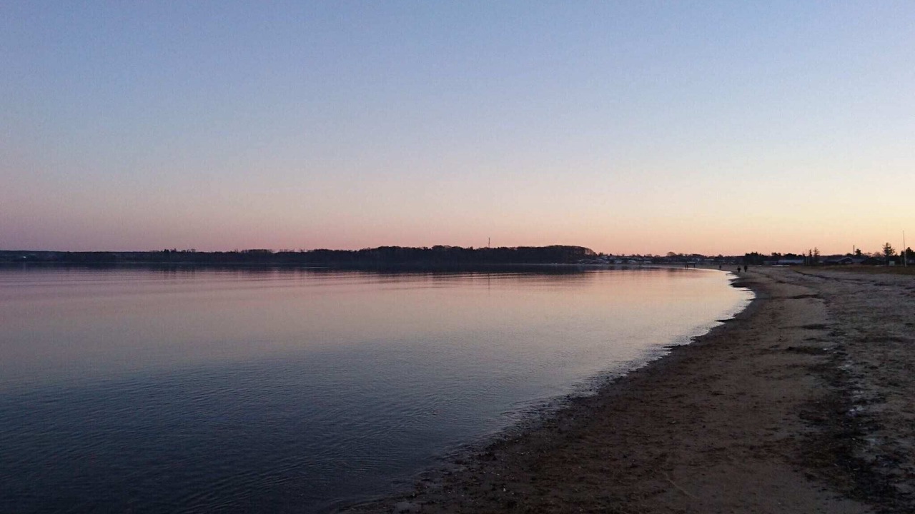 Photo of Others in Hvidbjerg Strand