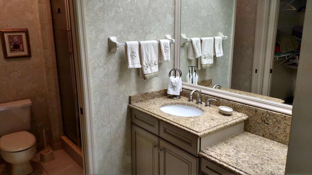 Photo of Bathroom in Braden River