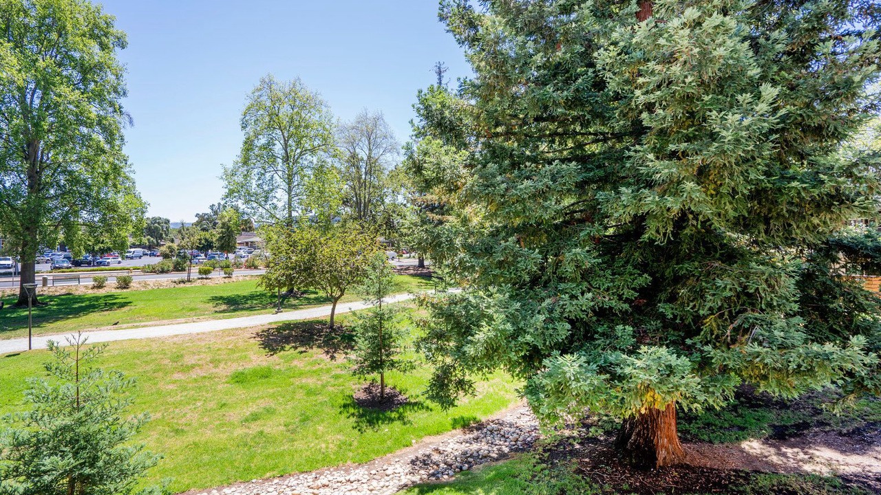 Photo of Outdoor in Sharon Heights