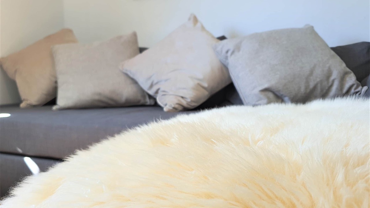 Photo of Others in Cathays