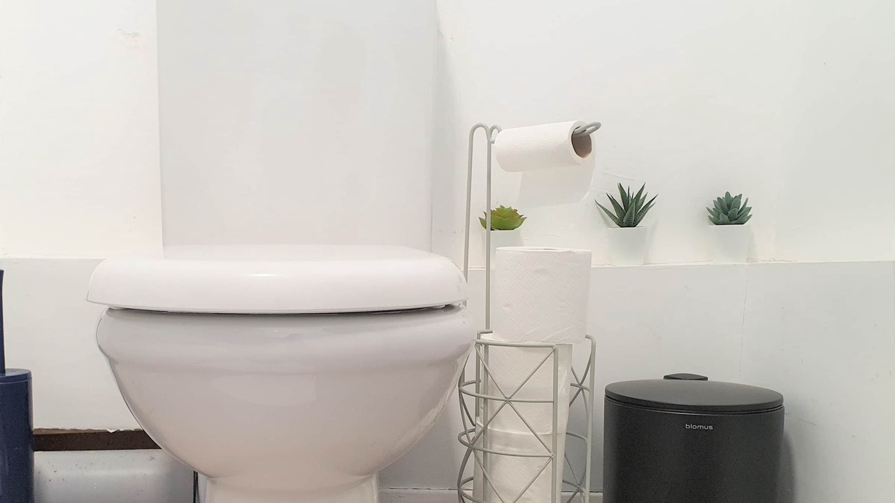 Photo of Others in Cathays