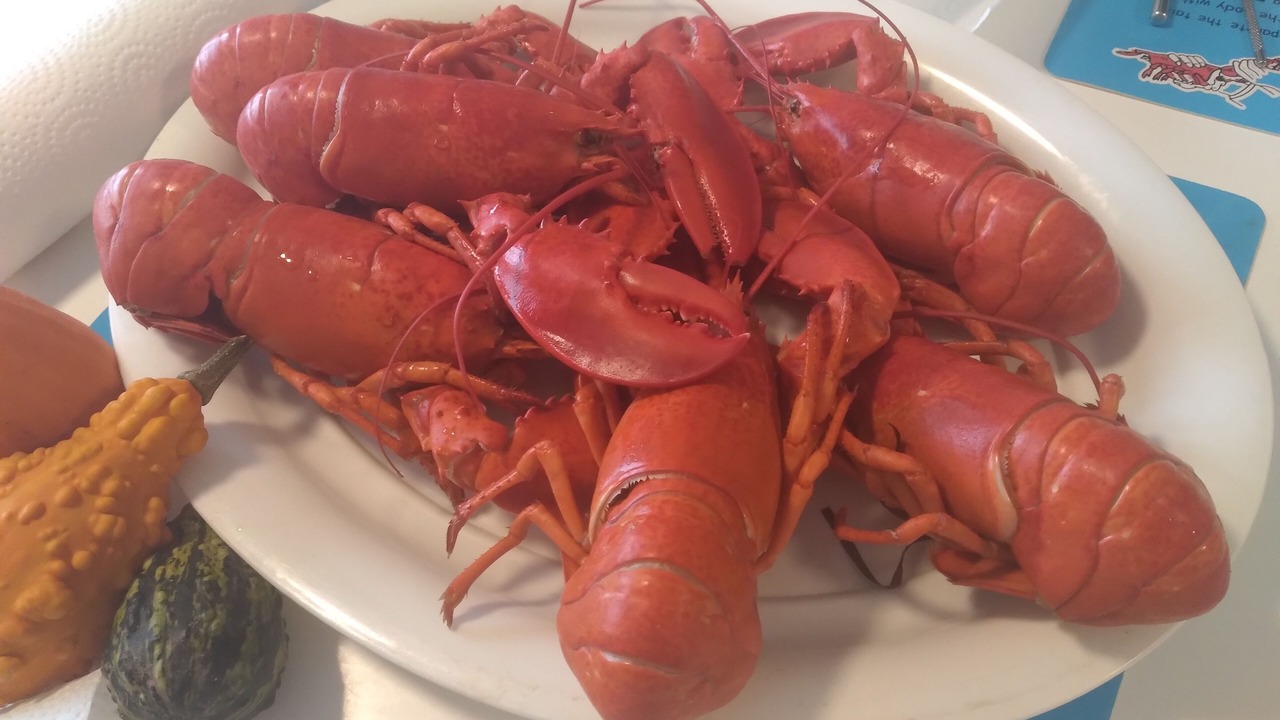 Photo of Others in Richibucto