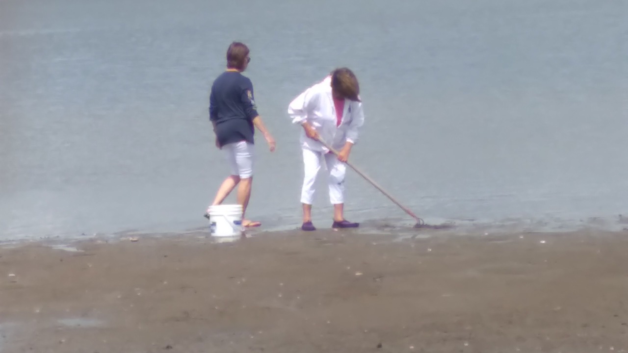 Photo of Others in Richibucto