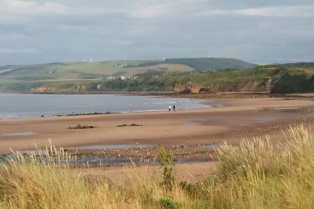 Photo of Others in Dunbar