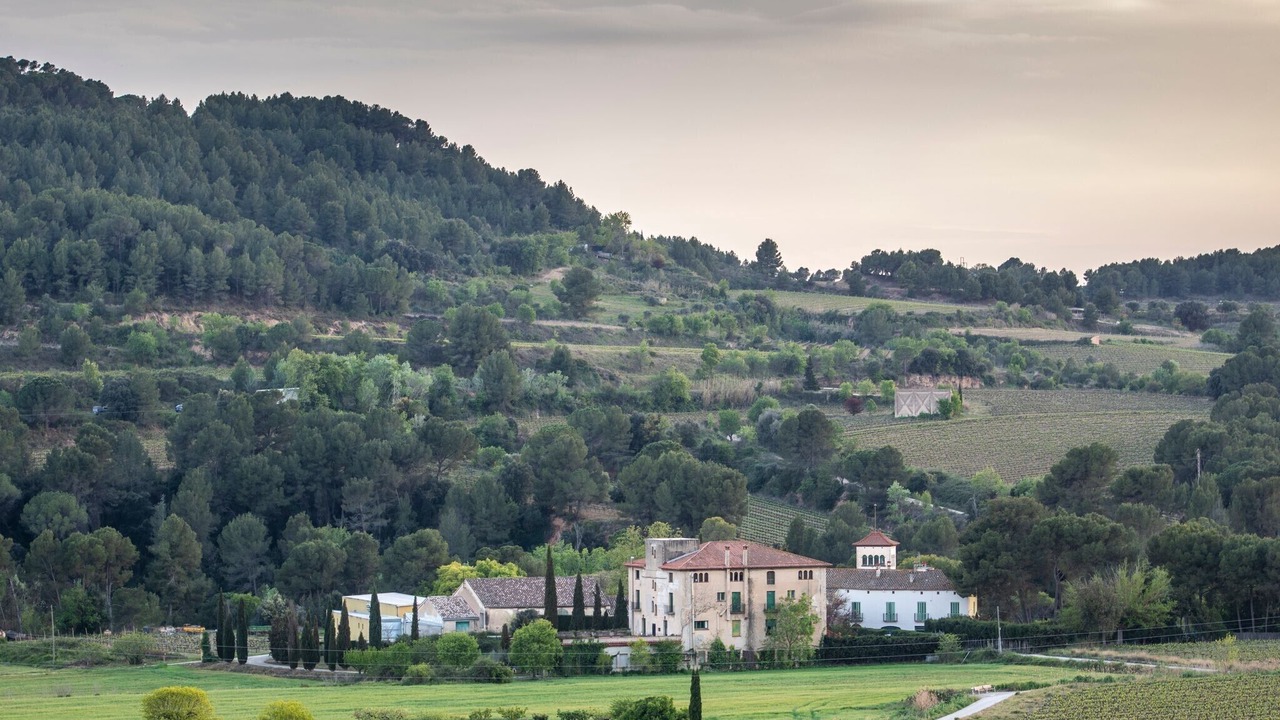 Photo of Others in Torrelavit