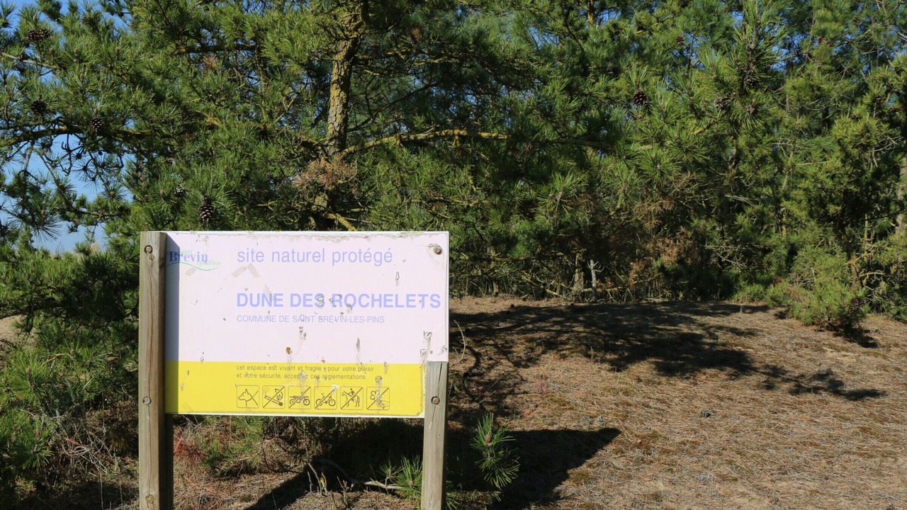 Photo of Others in Saint-Brevin-l'Ocean