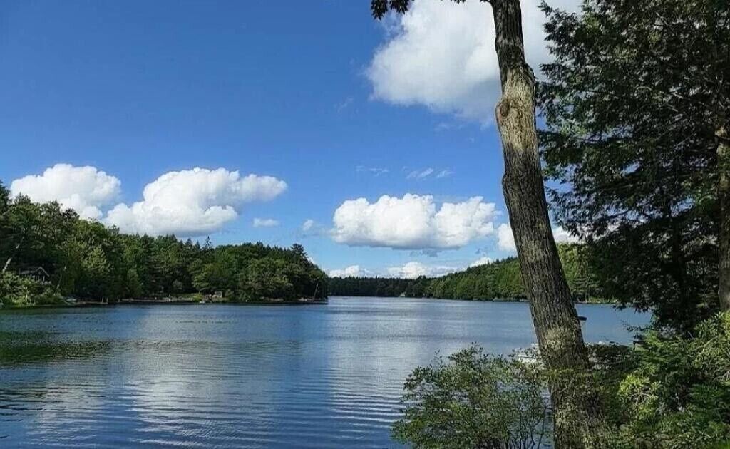 Photo of Others in Town of Grafton
