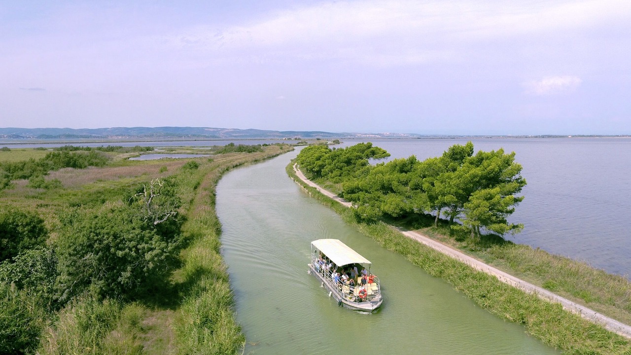 Photo of Outdoor in Feuilla