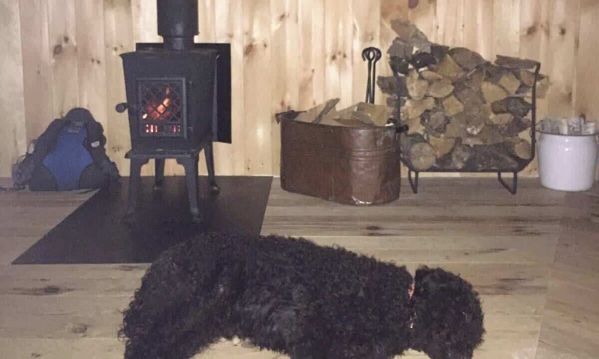 Photo of Others in Monmouth