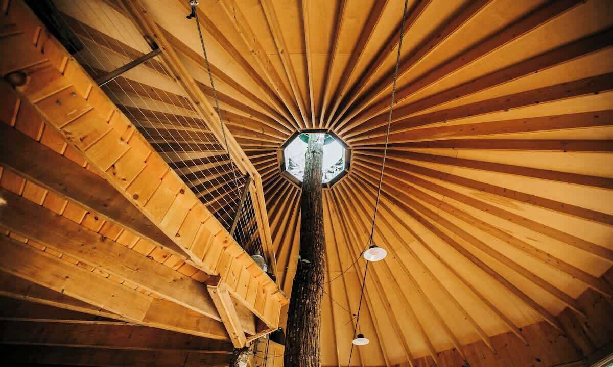 Photo of Others in Monmouth