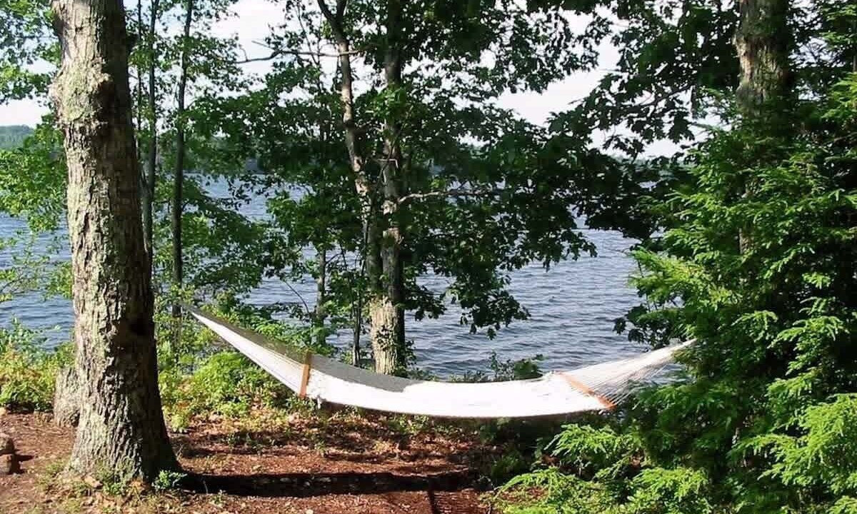 Photo of Others in Monmouth