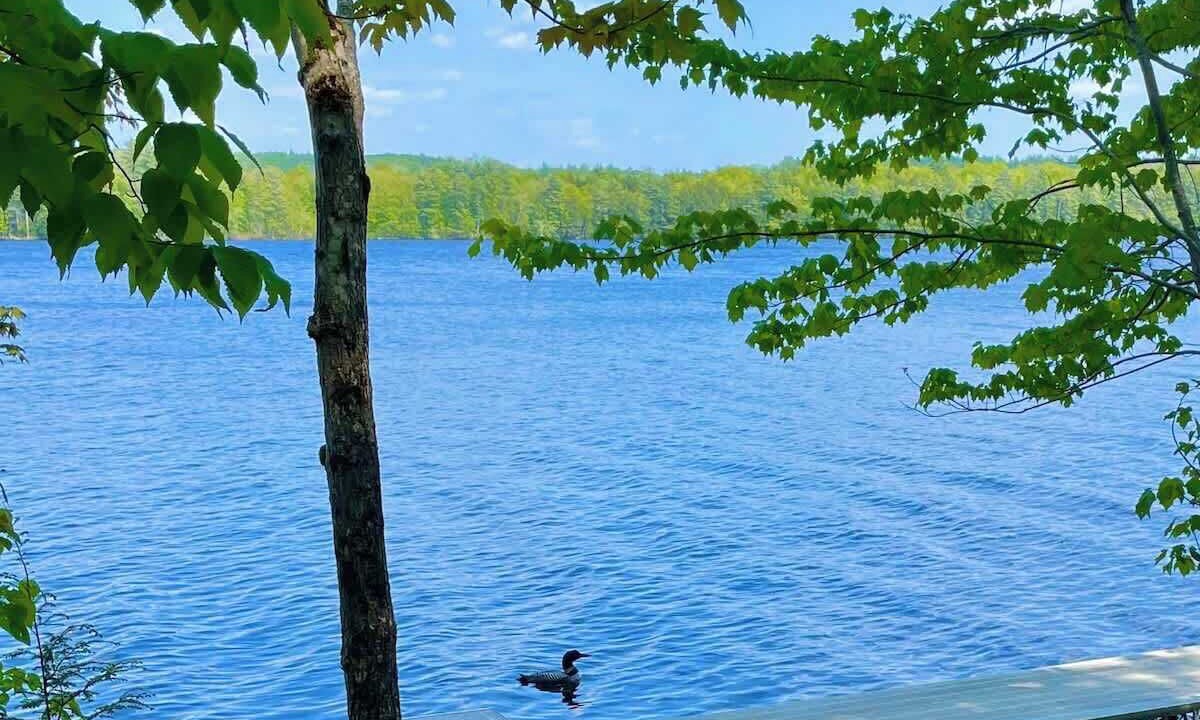 Photo of Outdoor in Monmouth