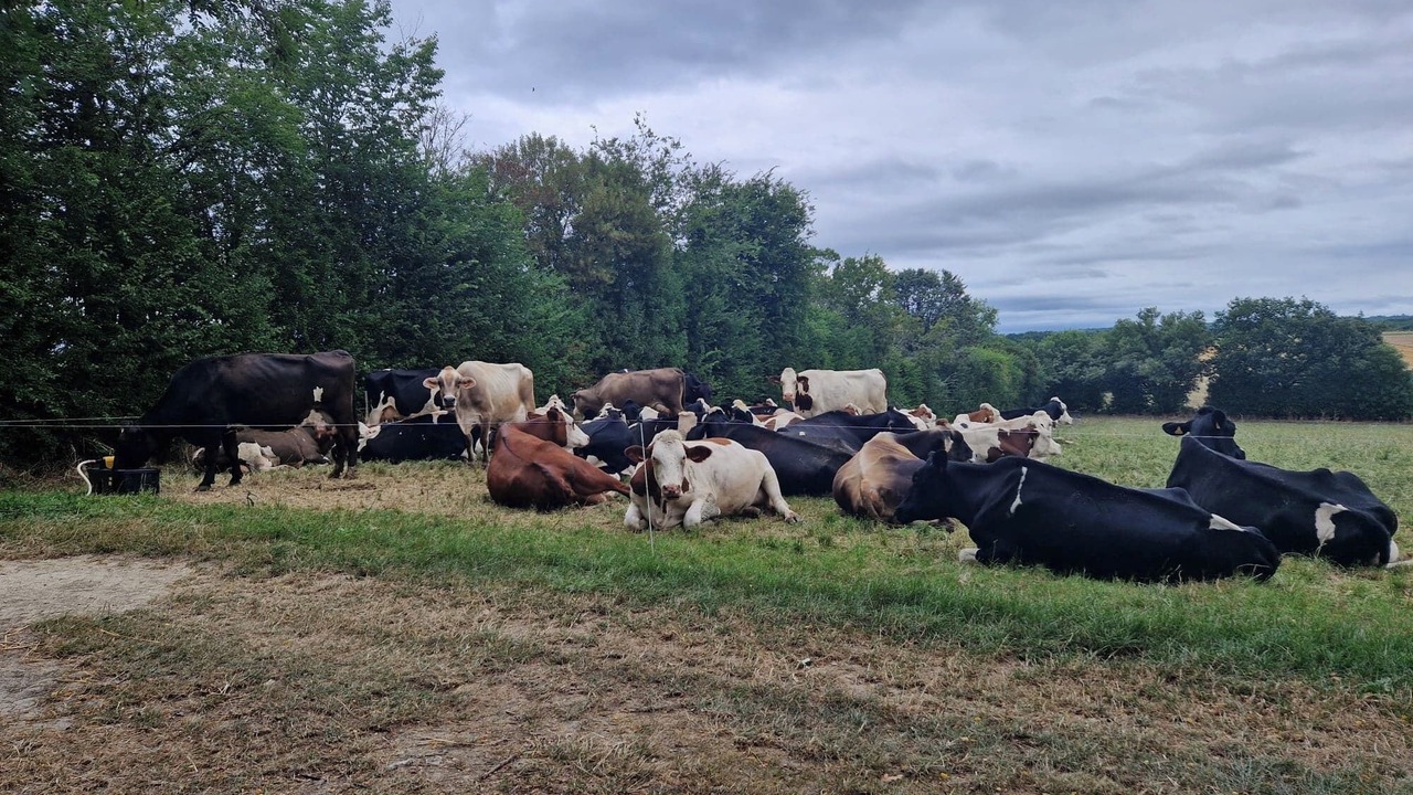 Photo of Others in Montcabrier