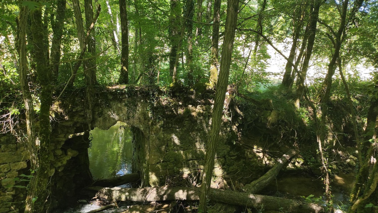 Photo of Outdoor in Montcabrier