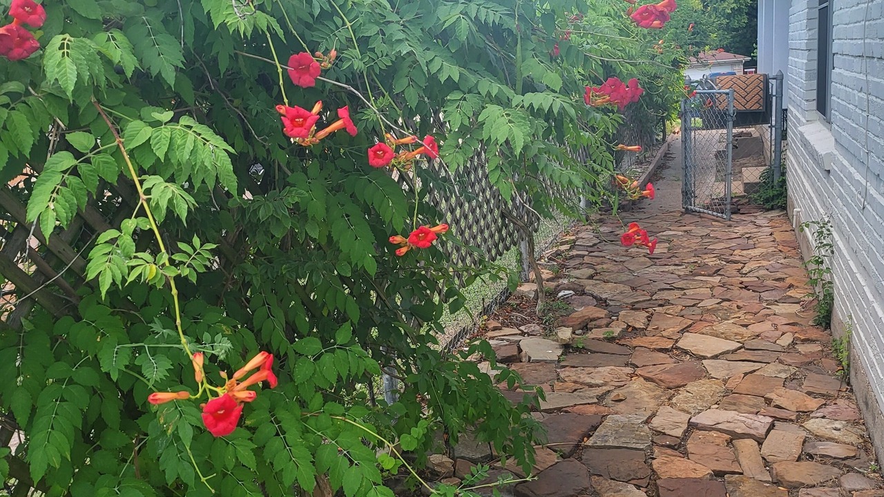 Photo of Outdoor in Dallas