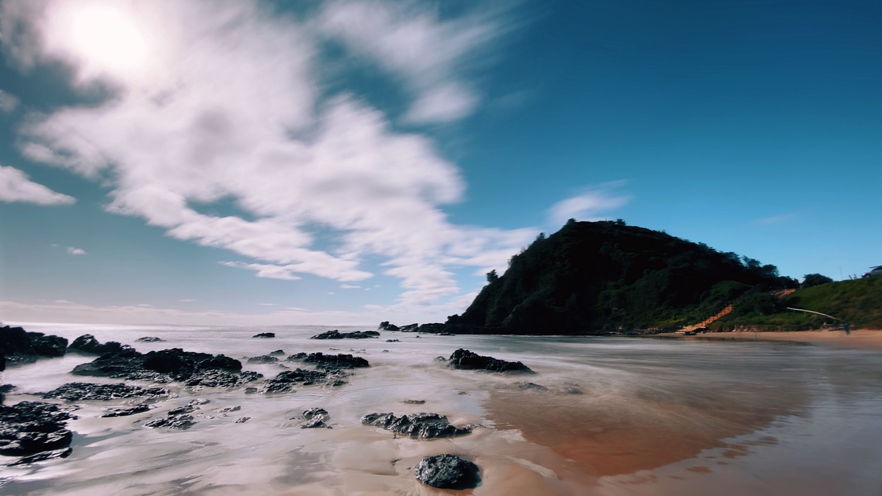 Photo of Others in Port Macquarie