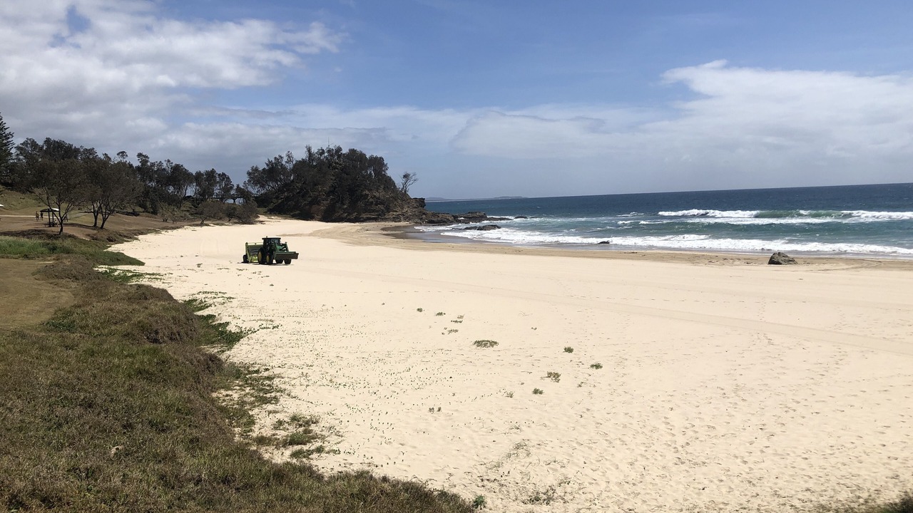 Photo of Others in Port Macquarie
