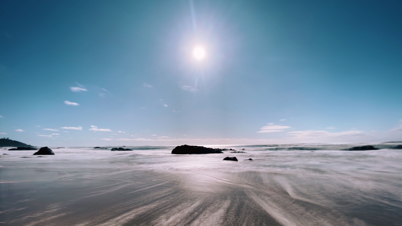 Photo of Others in Port Macquarie