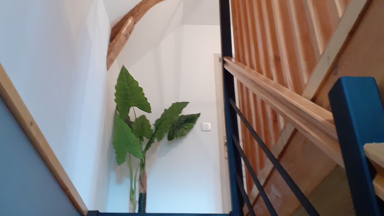 Photo of Others in Labessette