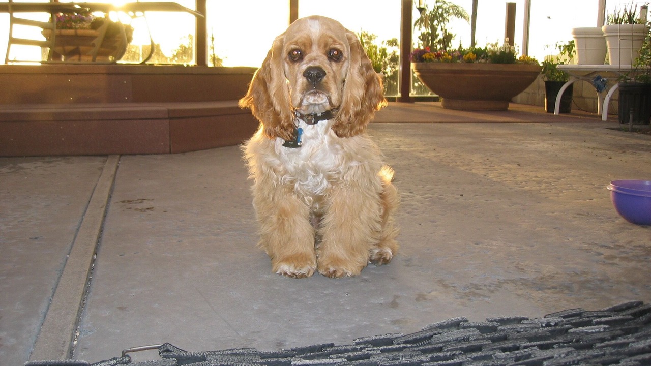 Photo of Outdoor in Mount Vernon