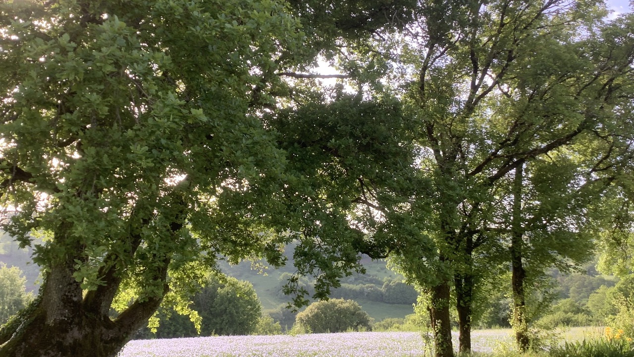 Photo of Outdoor in Le Grand-Madieu