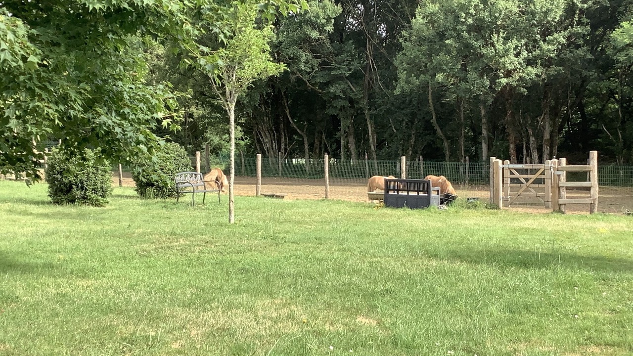 Photo of Outdoor in Le Grand-Madieu