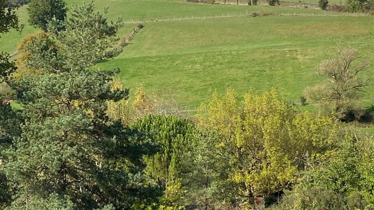 Photo of Others in Beaumont-du-Perigord