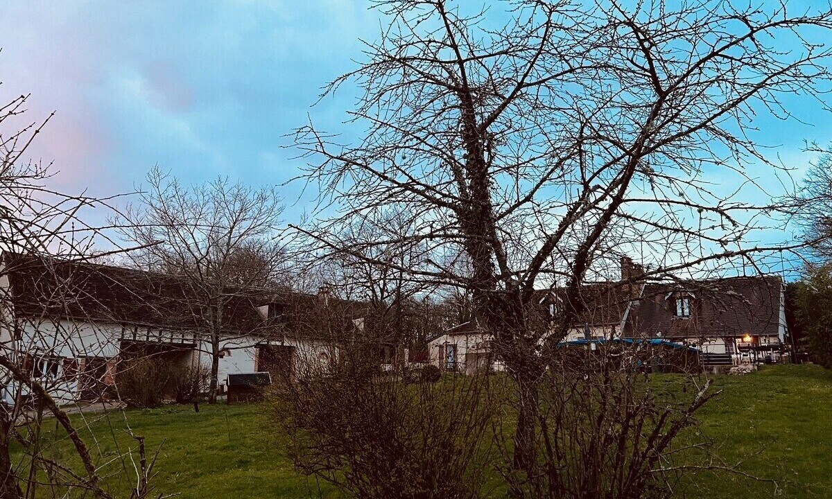 Photo of Outdoor in Mery-sur-Cher