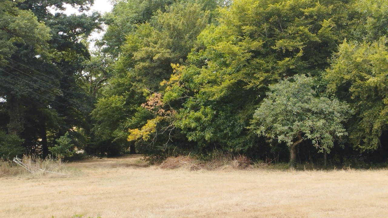 Photo of Others in Crevin