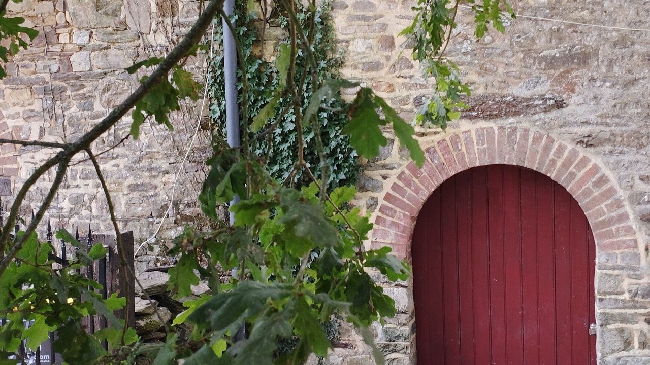 Photo of Outdoor in Crevin