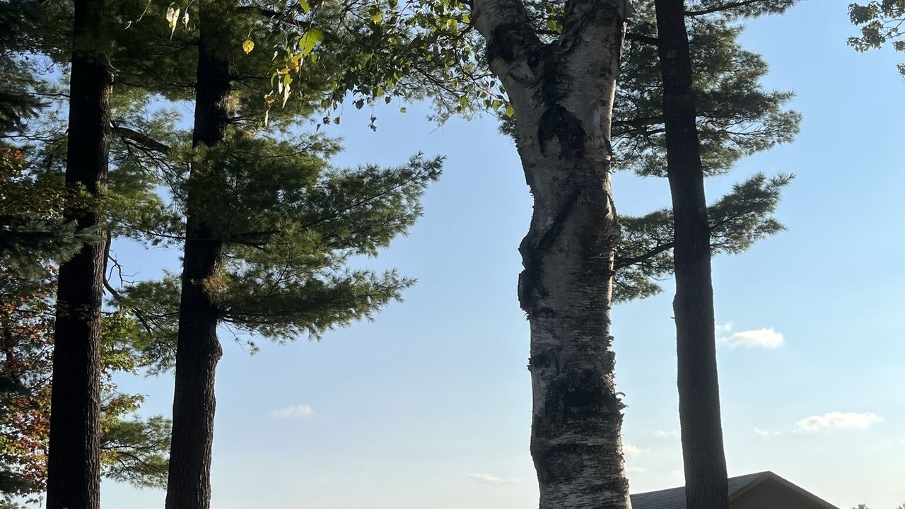Photo of Outdoor in Kalkaska