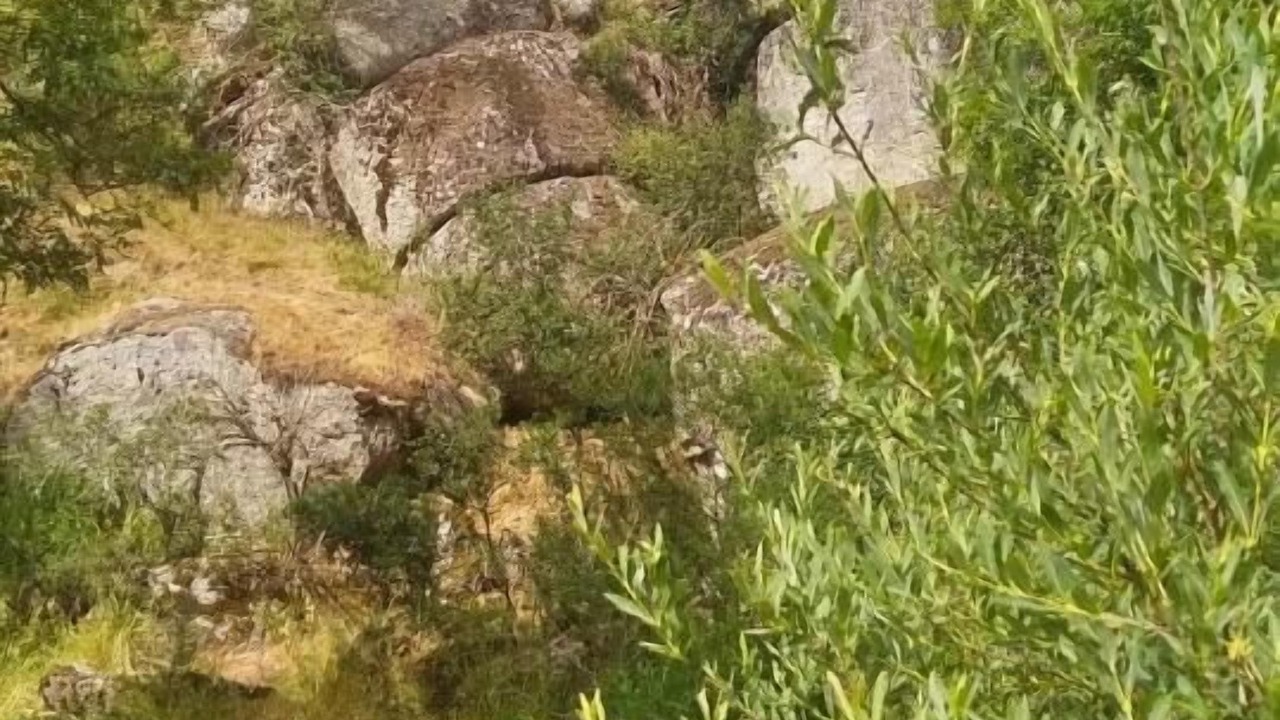 Photo of Outdoor in Rimeize