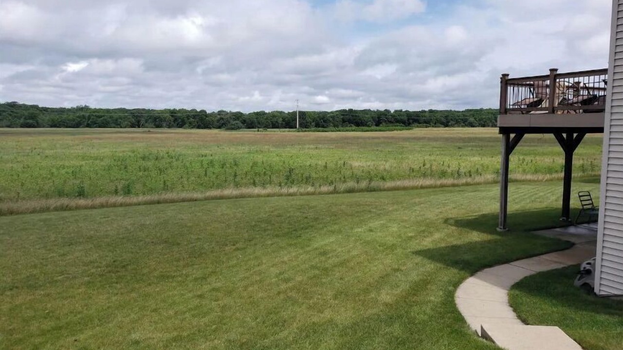 Photo of Outdoor in Bolingbrook