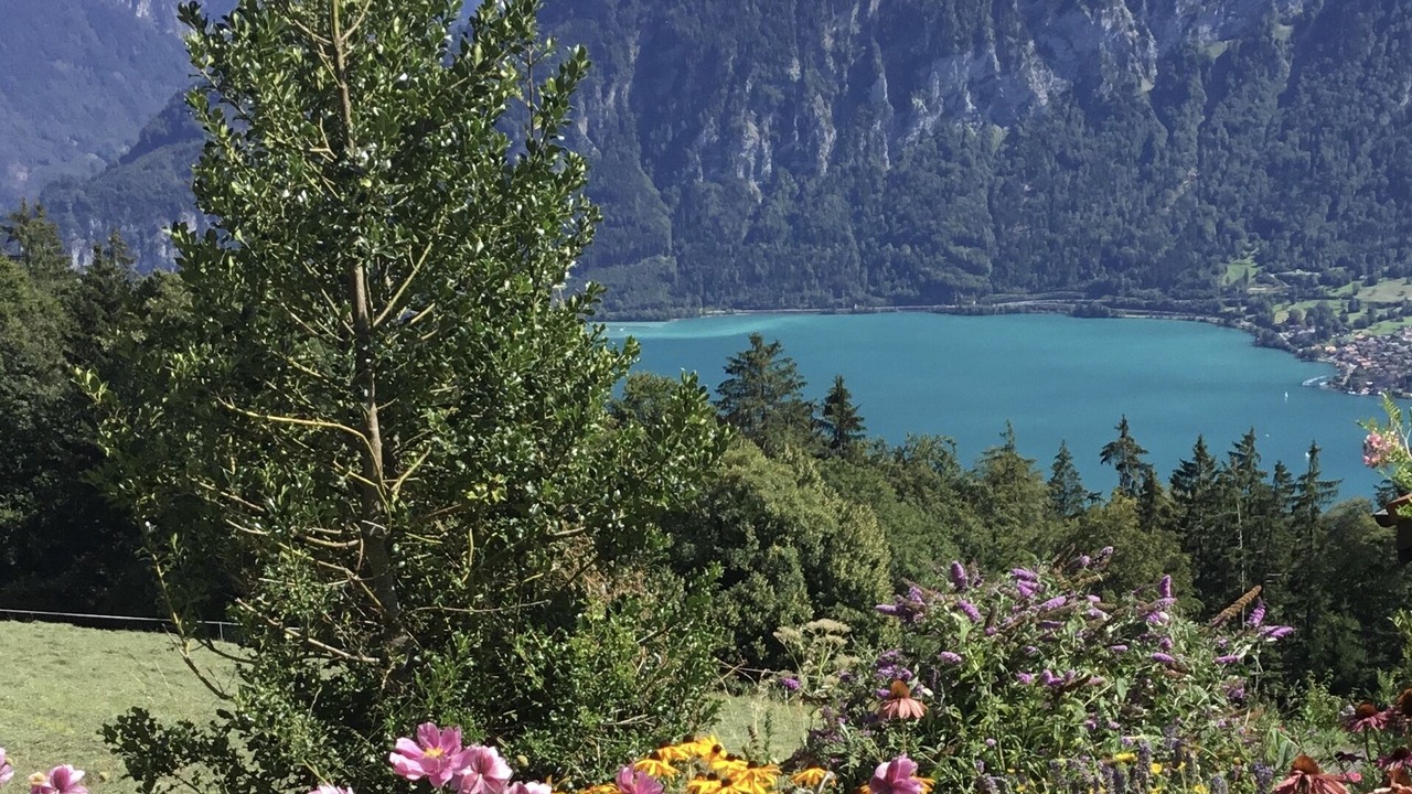 Photo of Outdoor in Beatenberg