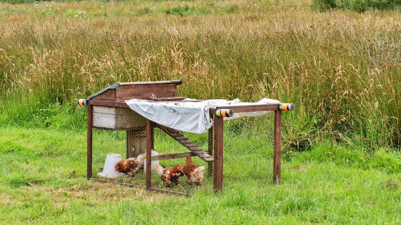 Photo of Outdoor in Ilfracombe