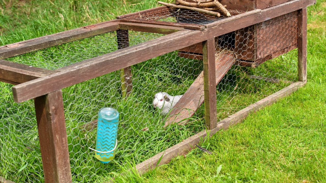 Photo of Outdoor in Ilfracombe